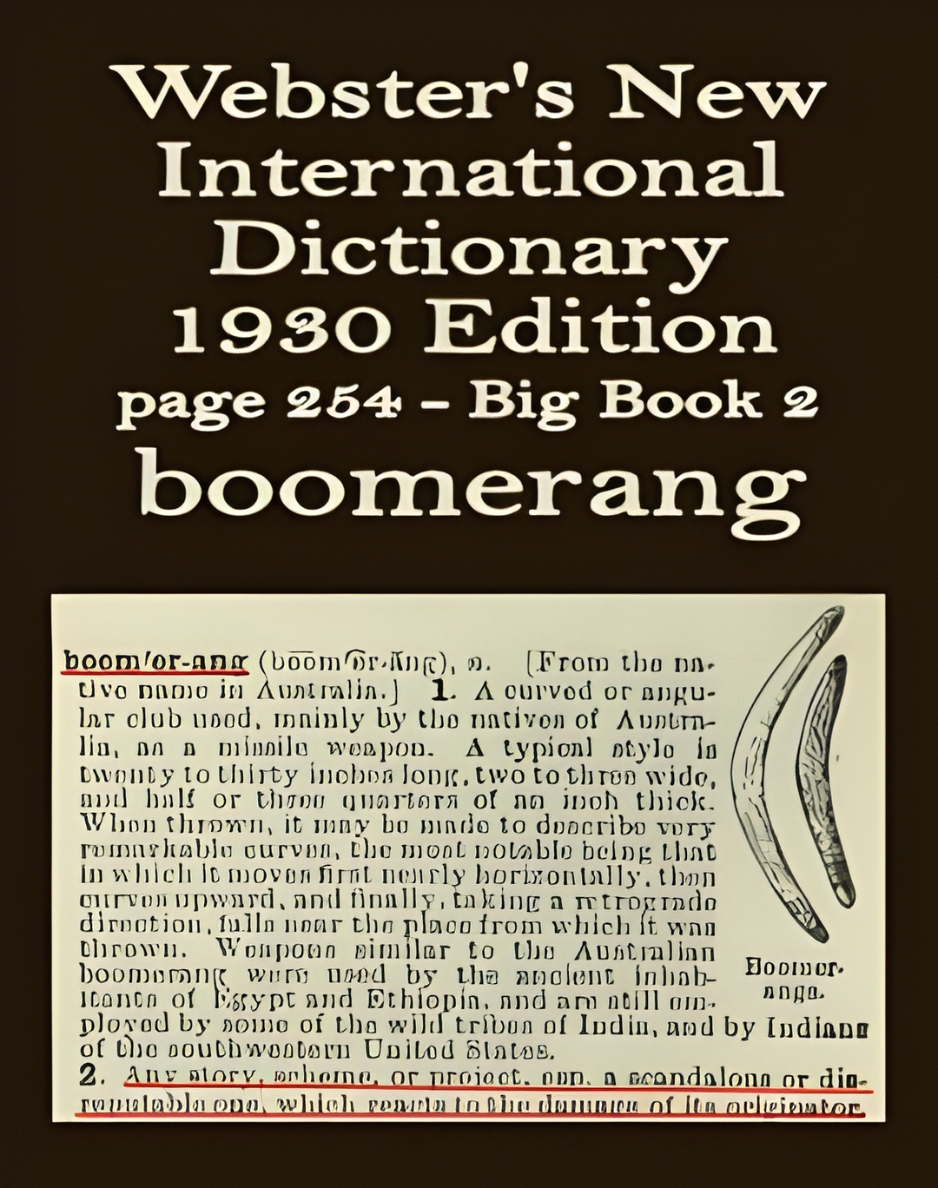Webster's definition of boomerang
