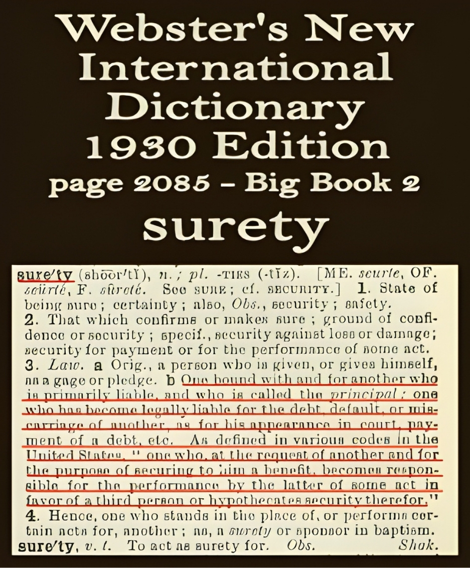 Webster's definition of surety