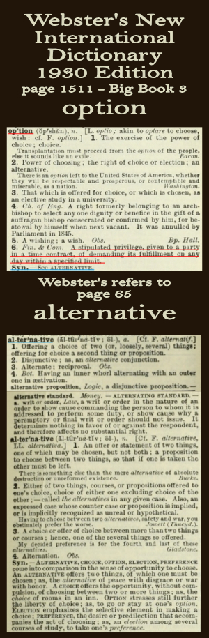 Webster's definition of option