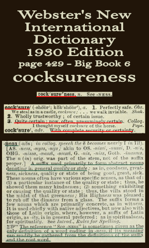 Webster's definition of cocksureness