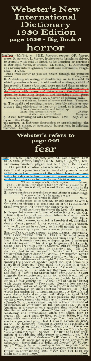Webster's definition of horror