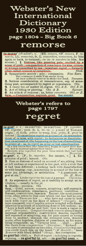 Webster's definition of remorse