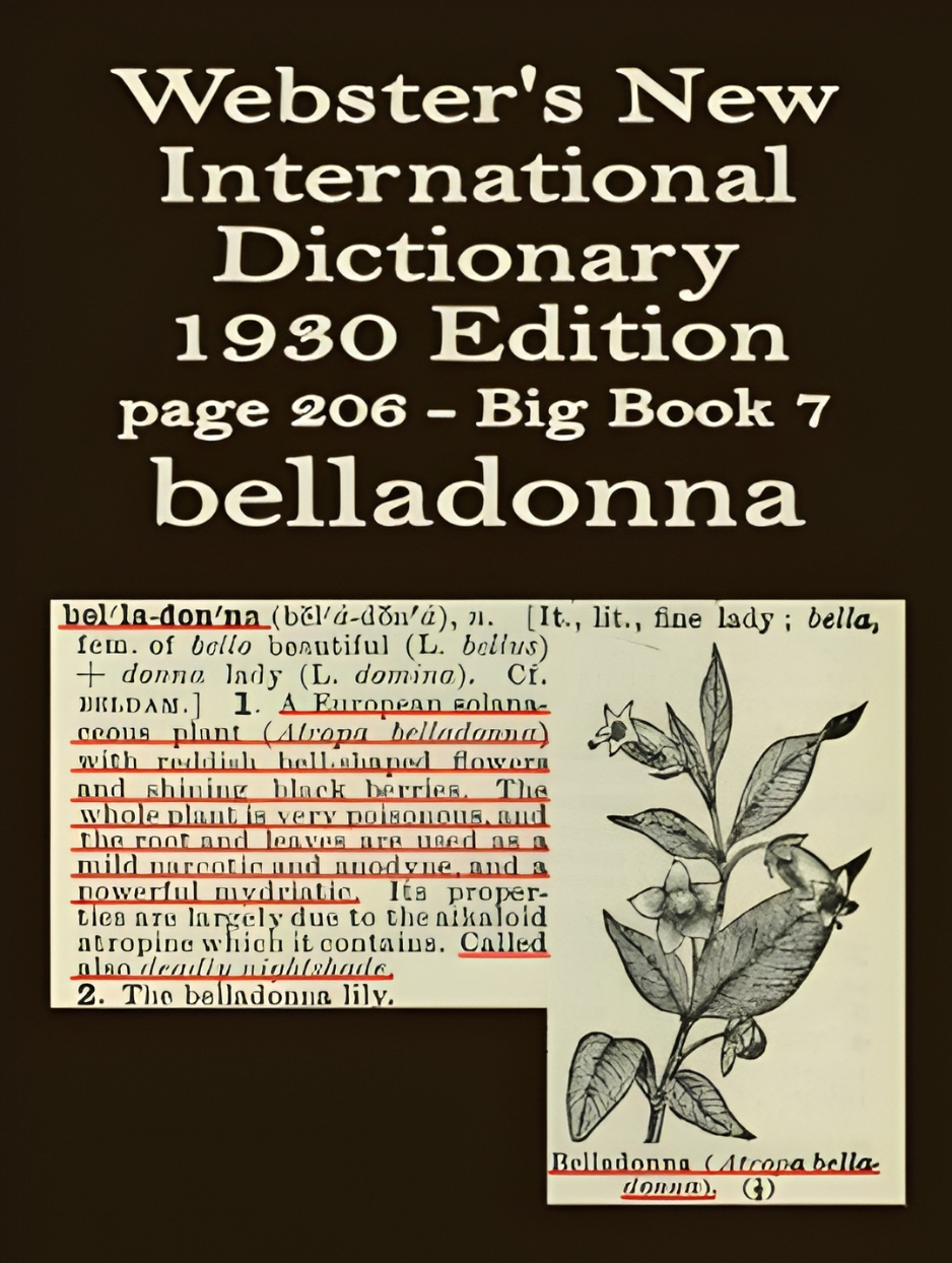 Wester's definition of belladonna