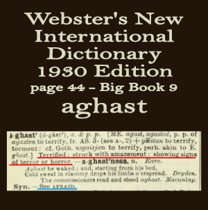 Wester's definition of aghast