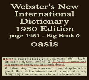 Wester's definition of oasis