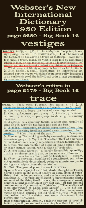 Wester's definition of vestiges