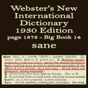Webster's definition of sane