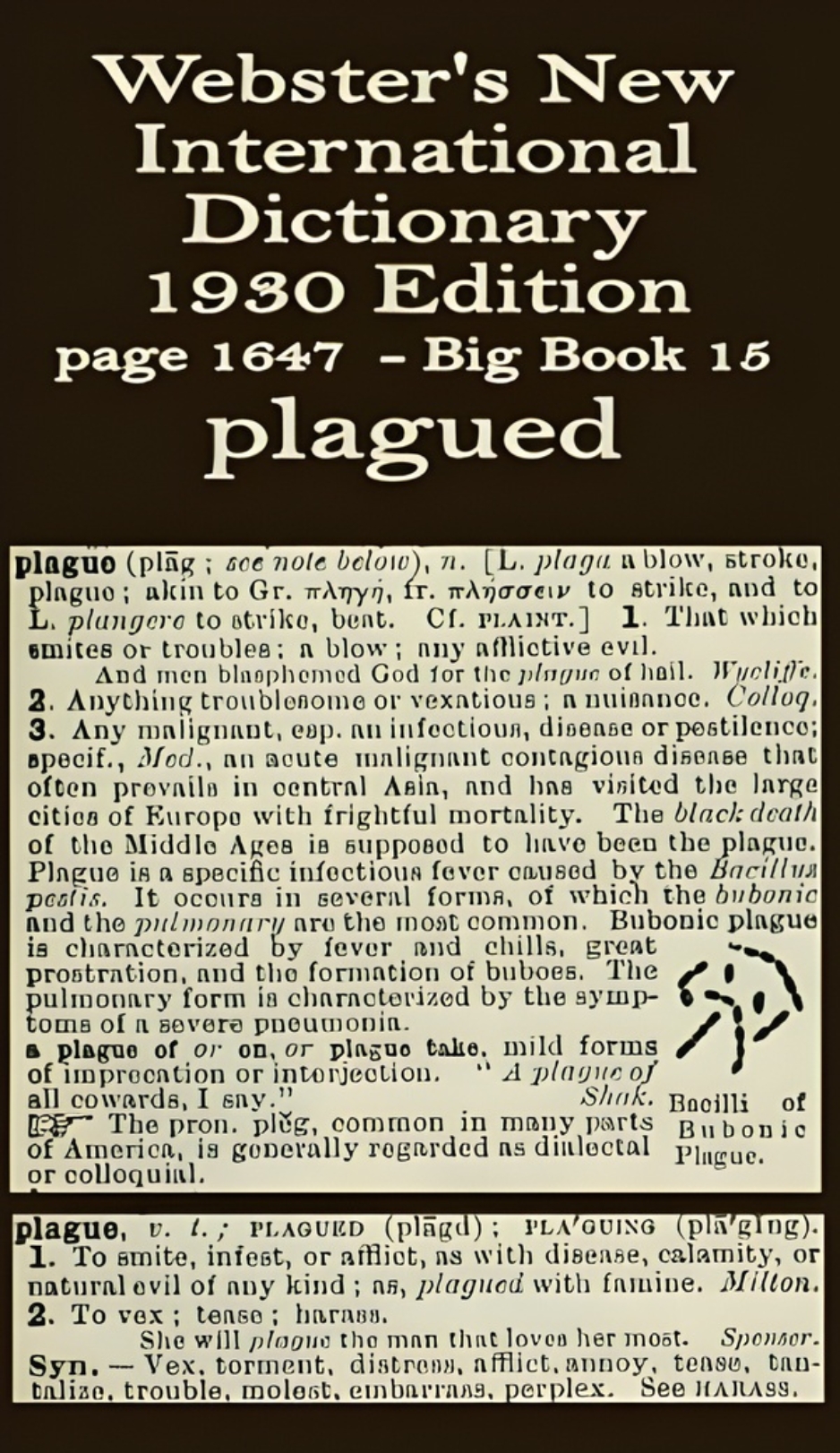 Webster's definition of plagued