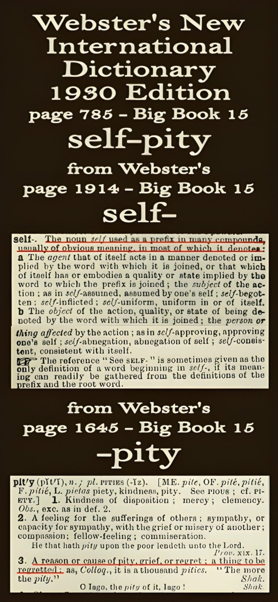 Webster's definition of self-pity