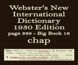 Webster's definition of chap