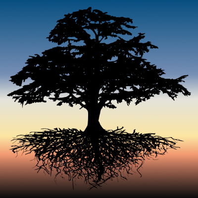 Root and Branch Symbol