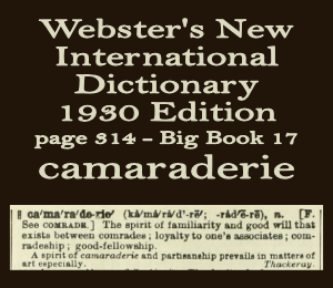 Webster's definition of camaraderie