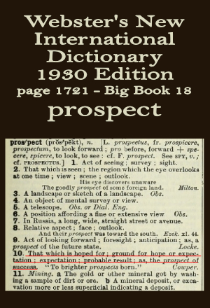 Webster's definition of prospect