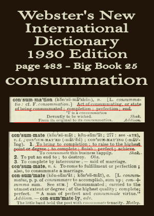 Webster's definition of consummation