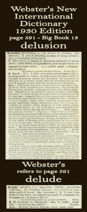 Webster's definition of delusion
