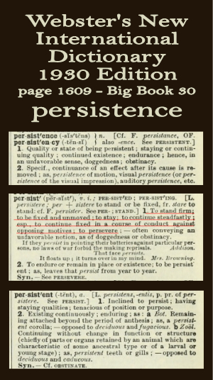 Webster's definition of persistence