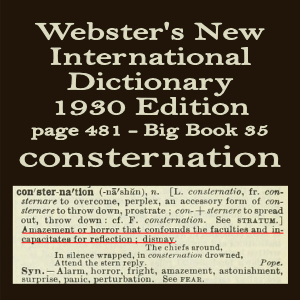 Webster's definition of consternation