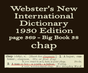 Webster's definition of chap