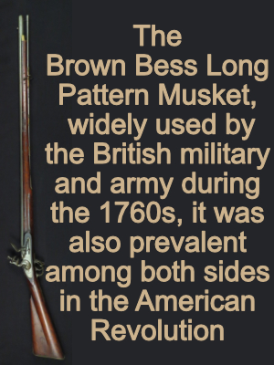 Webster's definition of musket