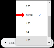 playback speed option